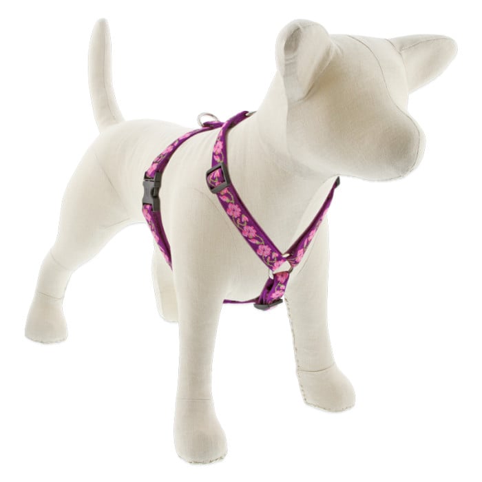Lupine Pet Dog 3/4 In 20-32 In Roman Harness Original Designs Rose Garden
