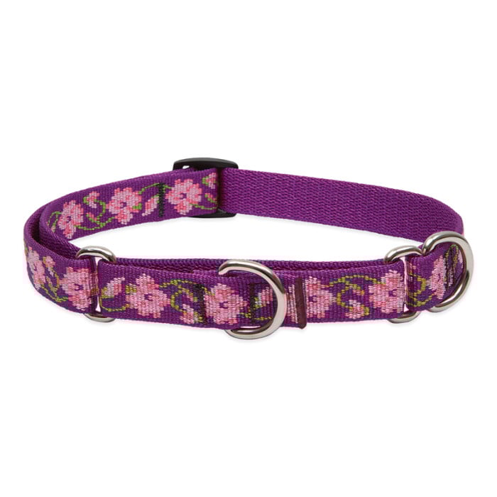 Lupine Pet Dog 3/4 In Wide 14-20 In Martingale Collar Original Designs Rose Garden