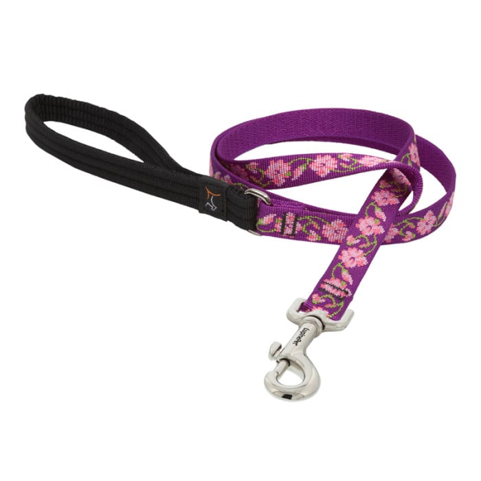 Lupine Pet Dog 4 Ft Long 3/4 In Leash Original Designs Rose Garden