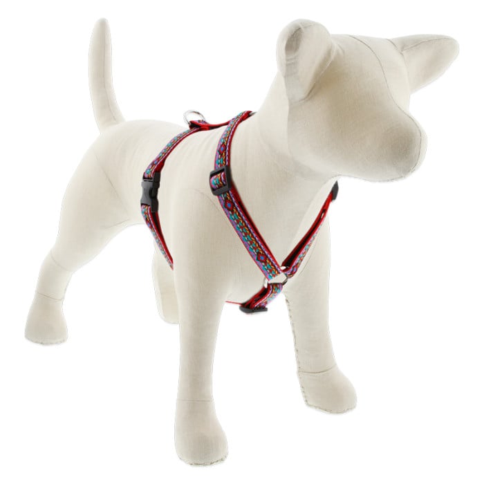 Lupine Pet Dog 3/4 In Wide 12-20 In Roman Harness Original Designs El Paso