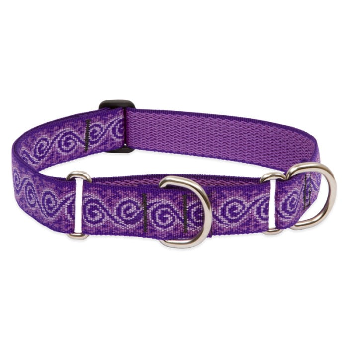 Lupine Pet Dog 1 In Wide 19-27 In Martingale Collar Original Designs Jelly Roll