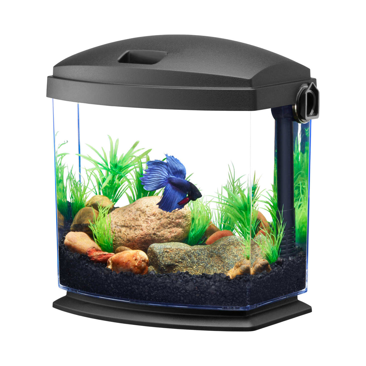 Aqueon BettaBow Tank with Quick Clean Technology, 1 Gallon