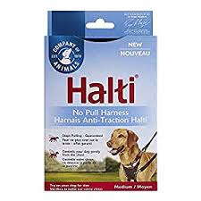 The Company of Animals Halti No-Pull Harness Medium