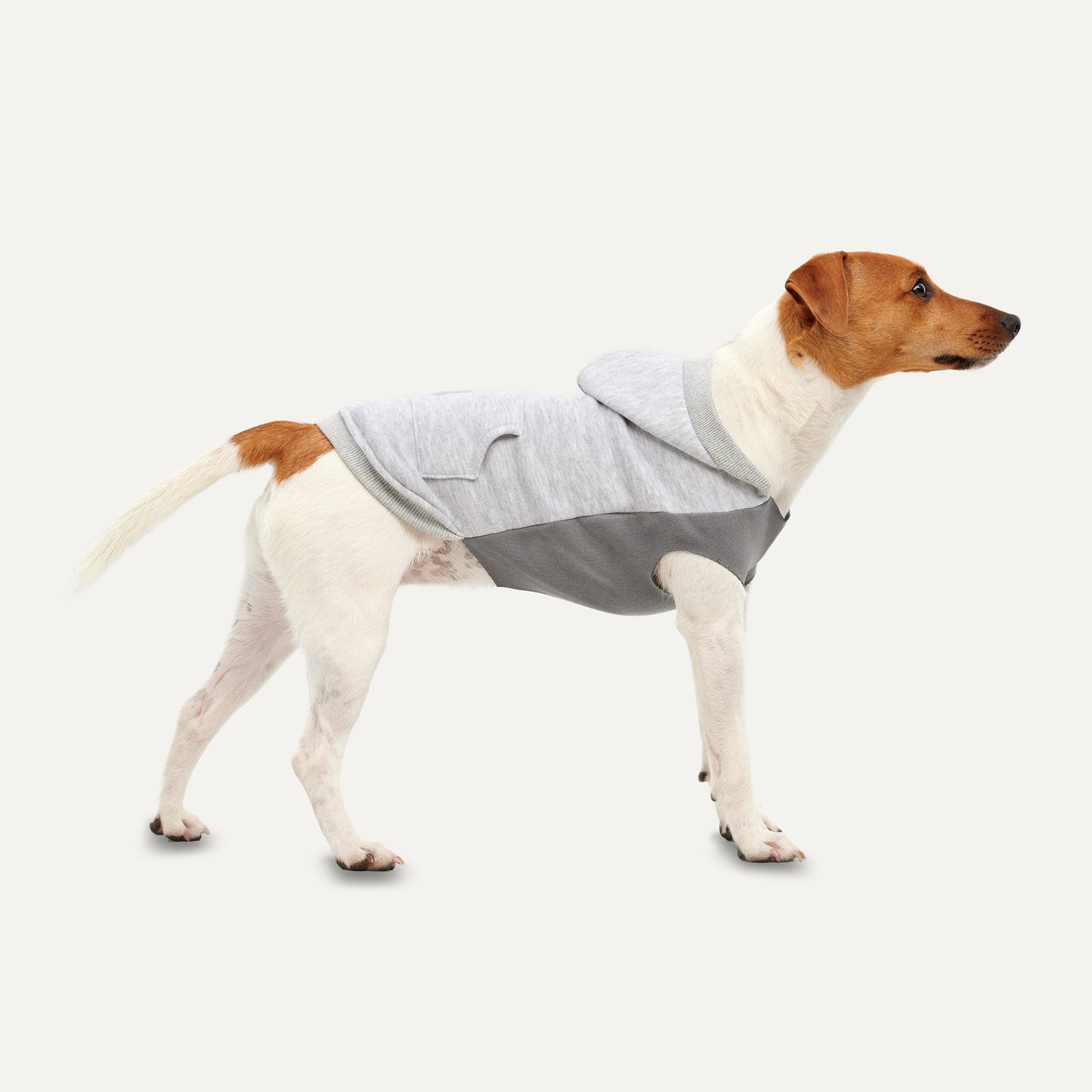 Gooeez Kangaroos Fleece Hoodie for Dogs Grey Small