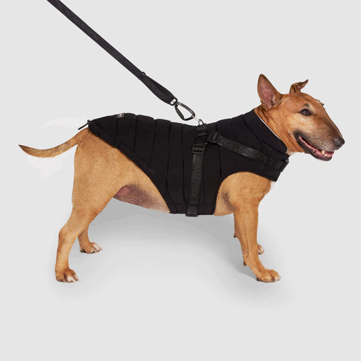 Canada Pooch Black Harness Puffer Coat Size 10