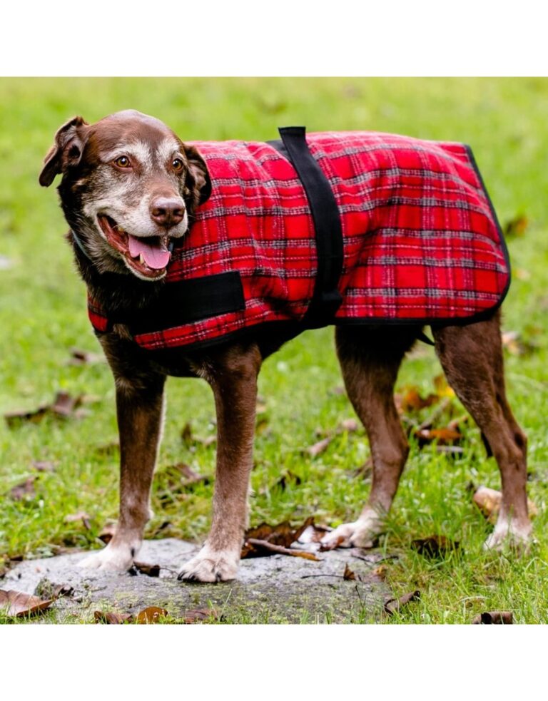 HuggleHounds Red Dog Plaid Coat Medium
