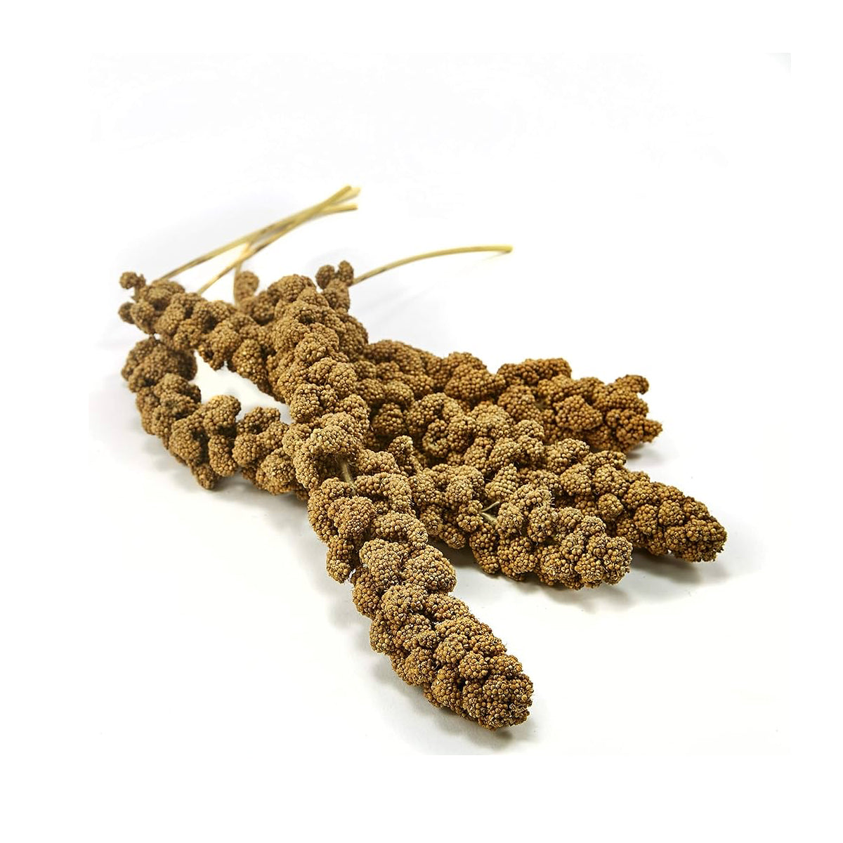 Kaytee Natural Spray Millet, 1pc