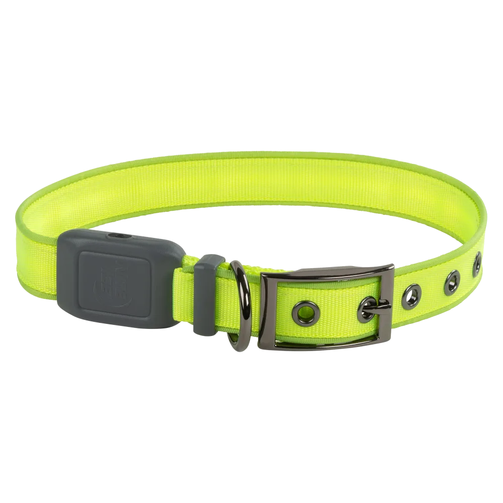 Nite Ize Nite Dog Rechargeable LED Dog Collar, Lime Green, Large