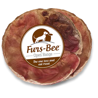 Open Range Furs-Bee Toss and Eat Dog Treat