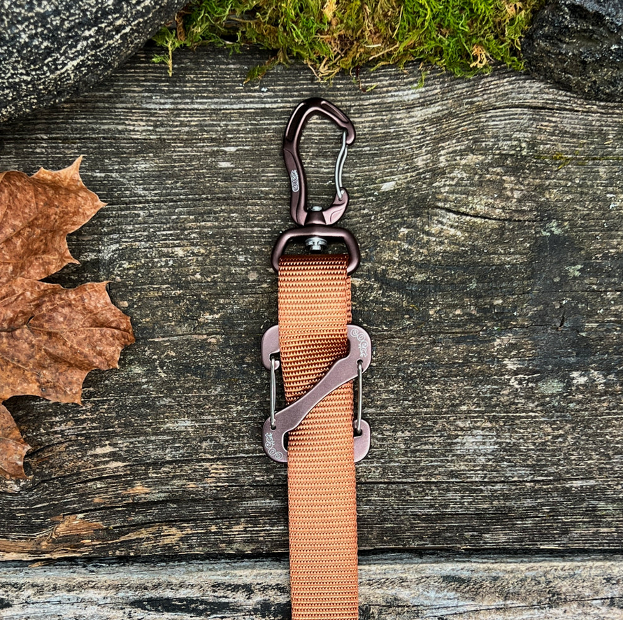 Canine Outdoor Crosswalk Clip Hands Free 10ft Dog Leash Brown