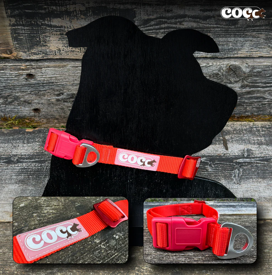 Canine Outdoor Adjustable Dog Collar Red