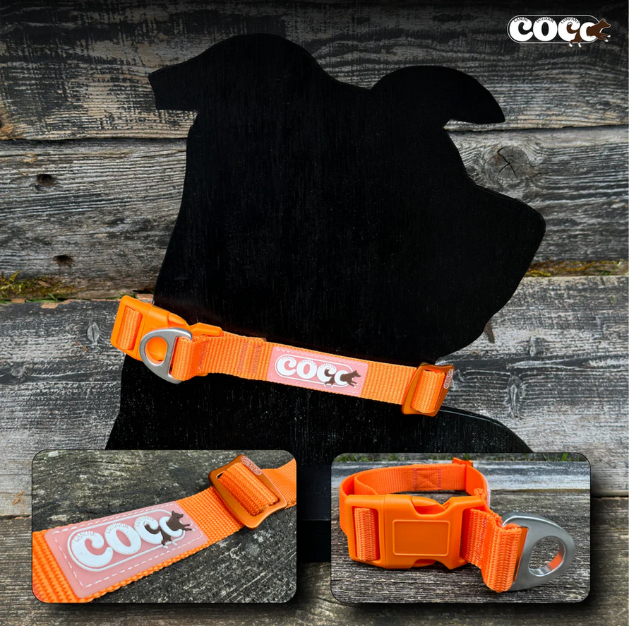 Canine Outdoor Adjustable Dog Collar Orange