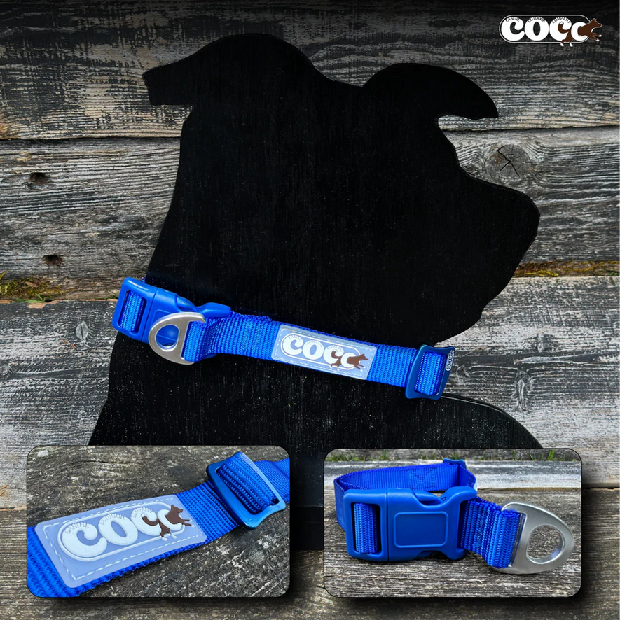 Canine Outdoor Adjustable Dog Collar Blue
