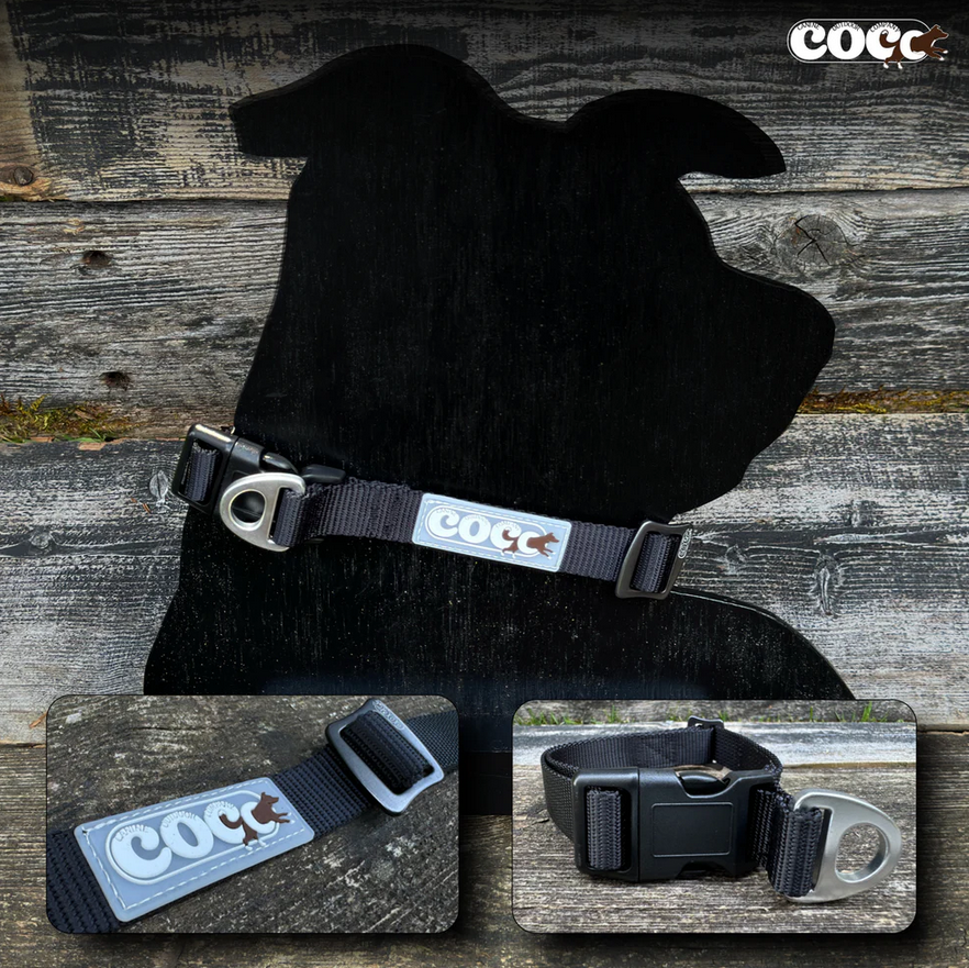 Canine Outdoor Adjustable Dog Collar Black