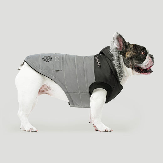 Canada Pooch Reflective North Parka Size 16