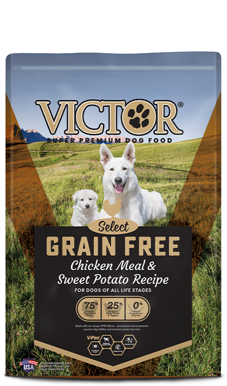Victor Super Premium Dog Food Grain Free Chicken Meal & Sweet Potato Recipe 30 lb