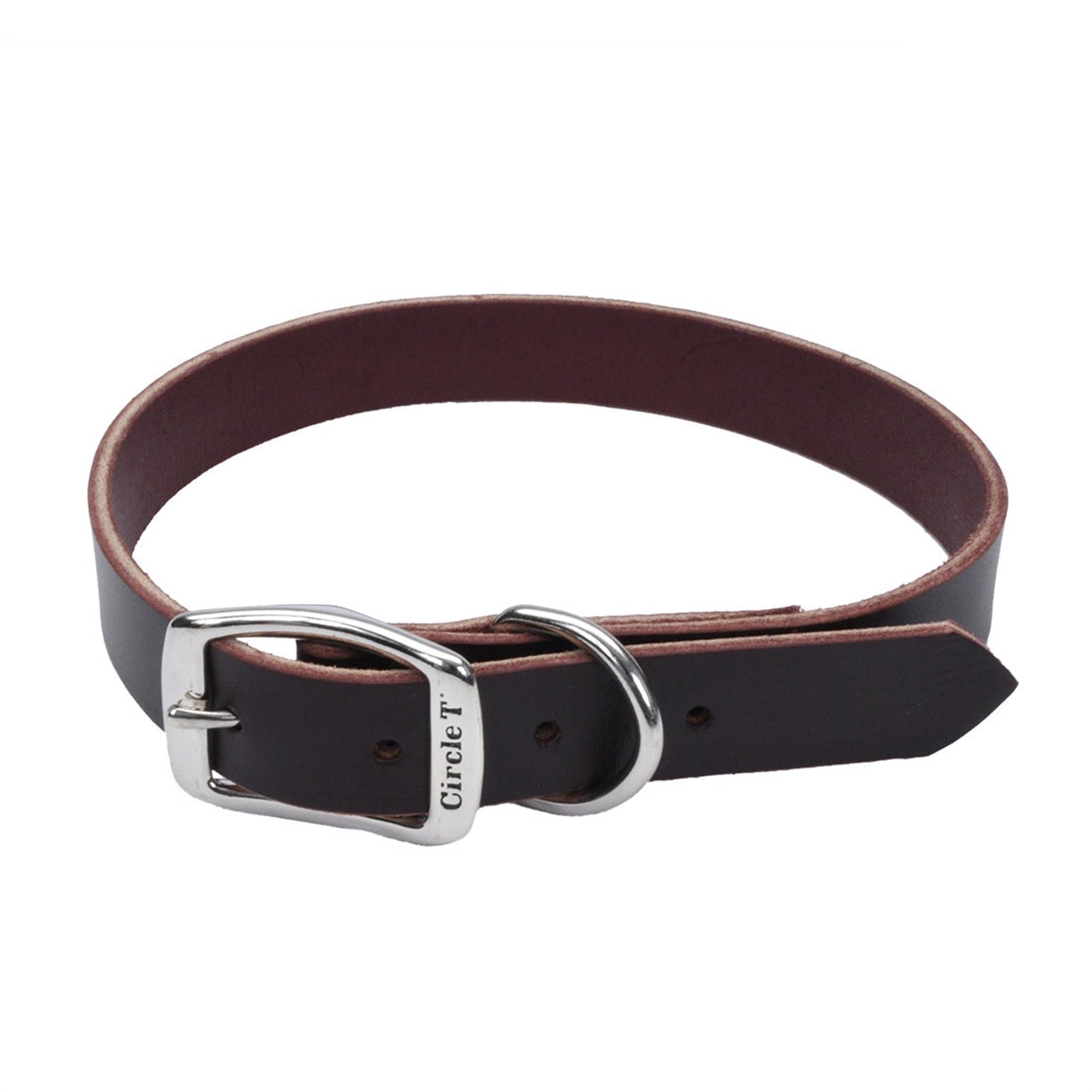 Coastal Circle T 3/4in Wide 20in Leather Town Dog Collar, Latigo