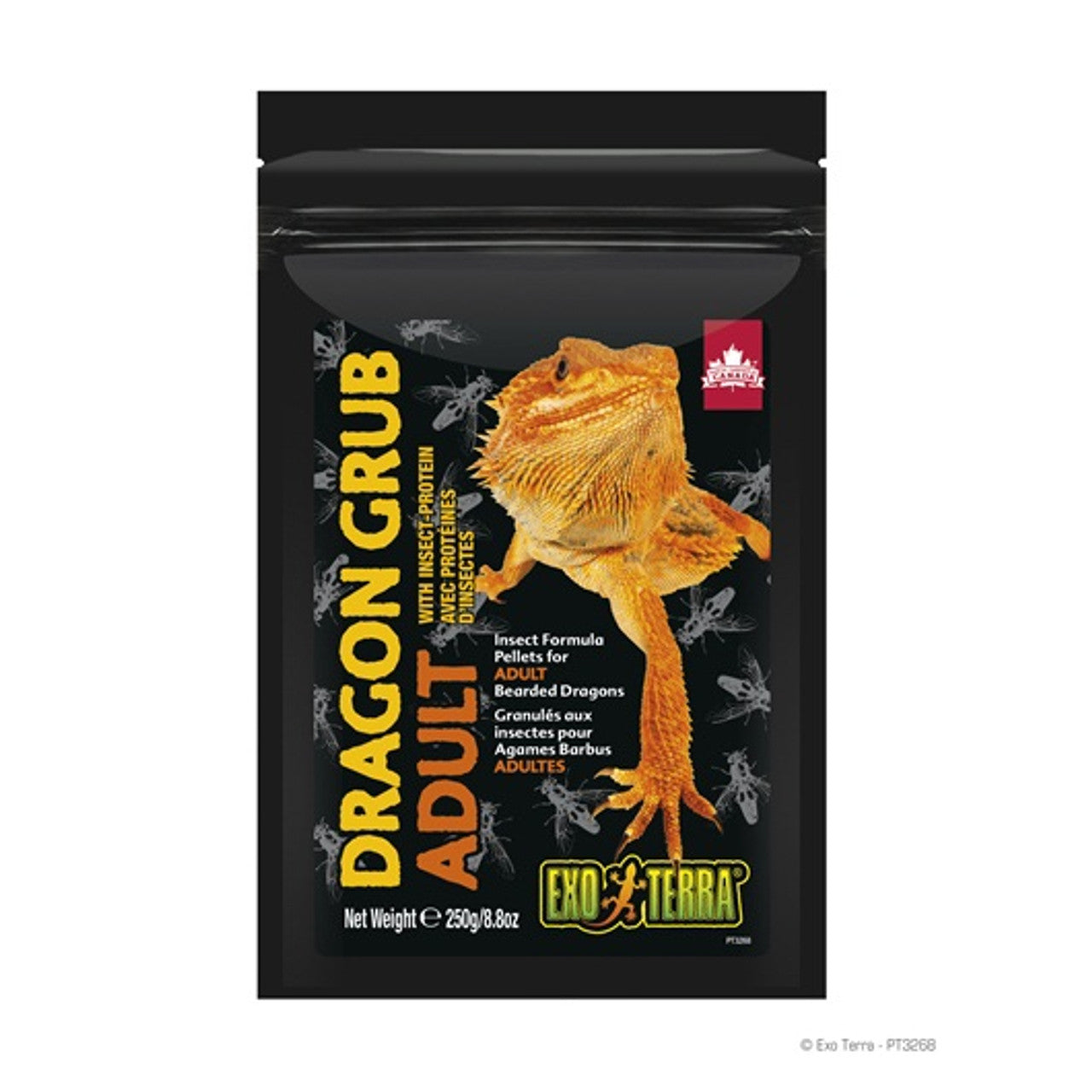 Exo Terra Dragon Grub Adult 8.8 oz