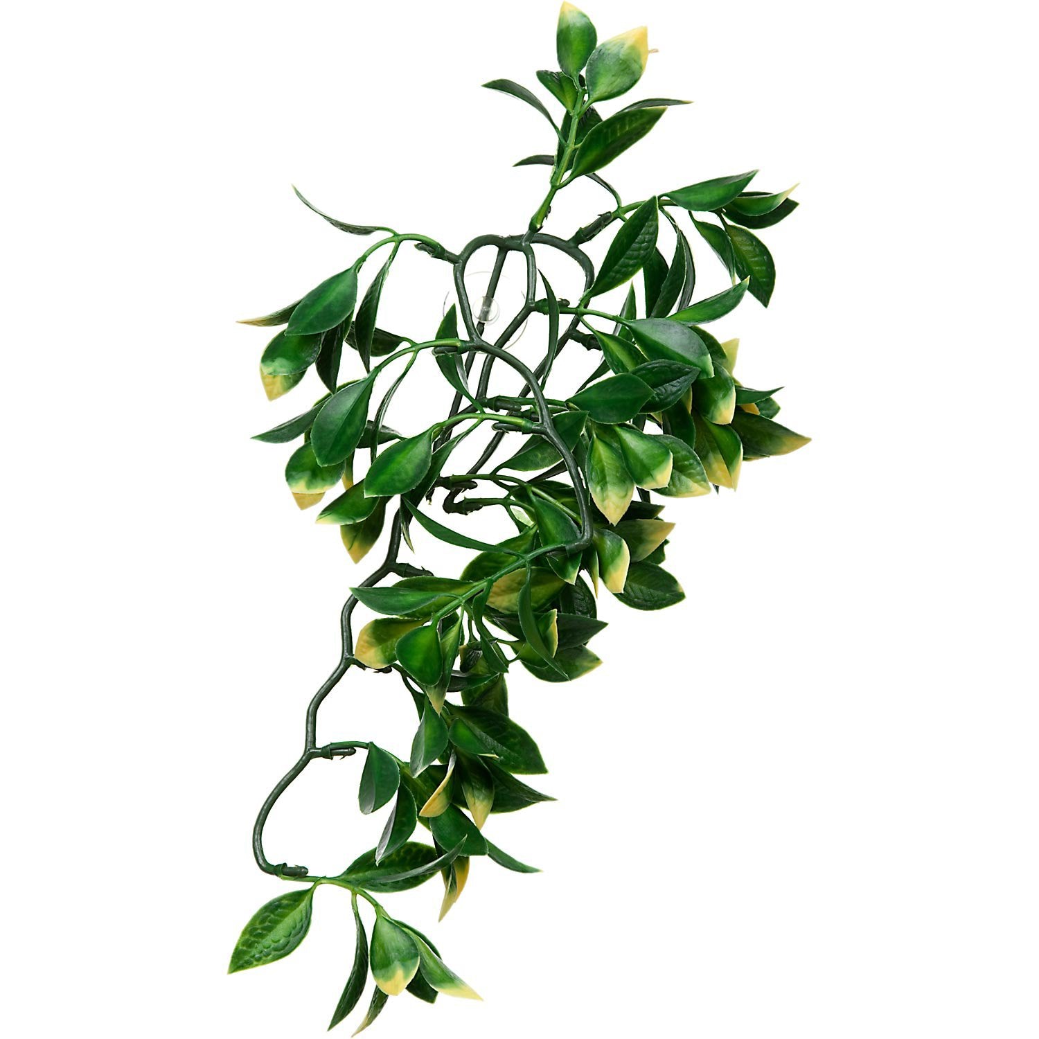 exo terra hanging plants Exo Terra Plastic Terrarium Plant Small Mandarin