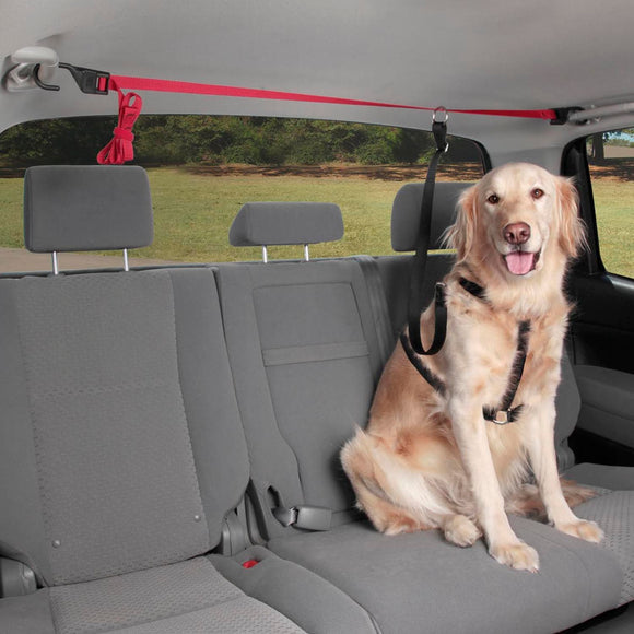 PetSafe Solvit Happy Ride Dog Zipline Back Seat Leash