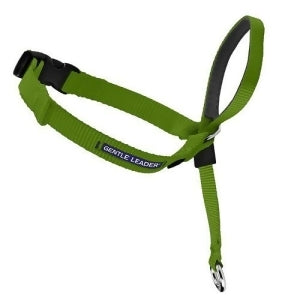 PetSafe Gentle Leader Head Collar Large Apple