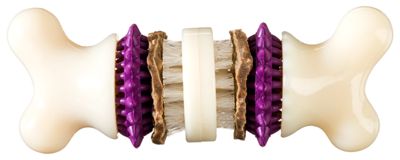 PetSafe Busy Buddy Bristle Bone, Large