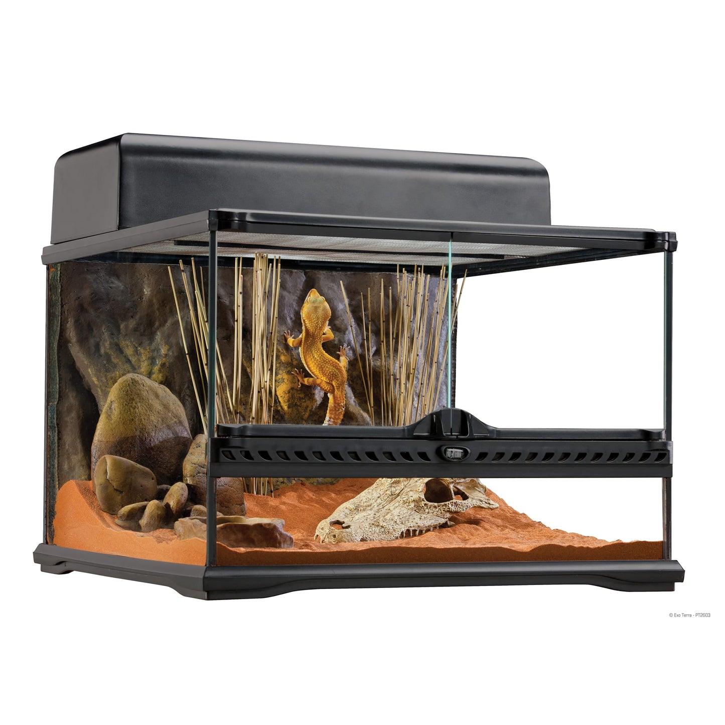 Exo Terra Natural Advanced Habitat Terrarium 18in