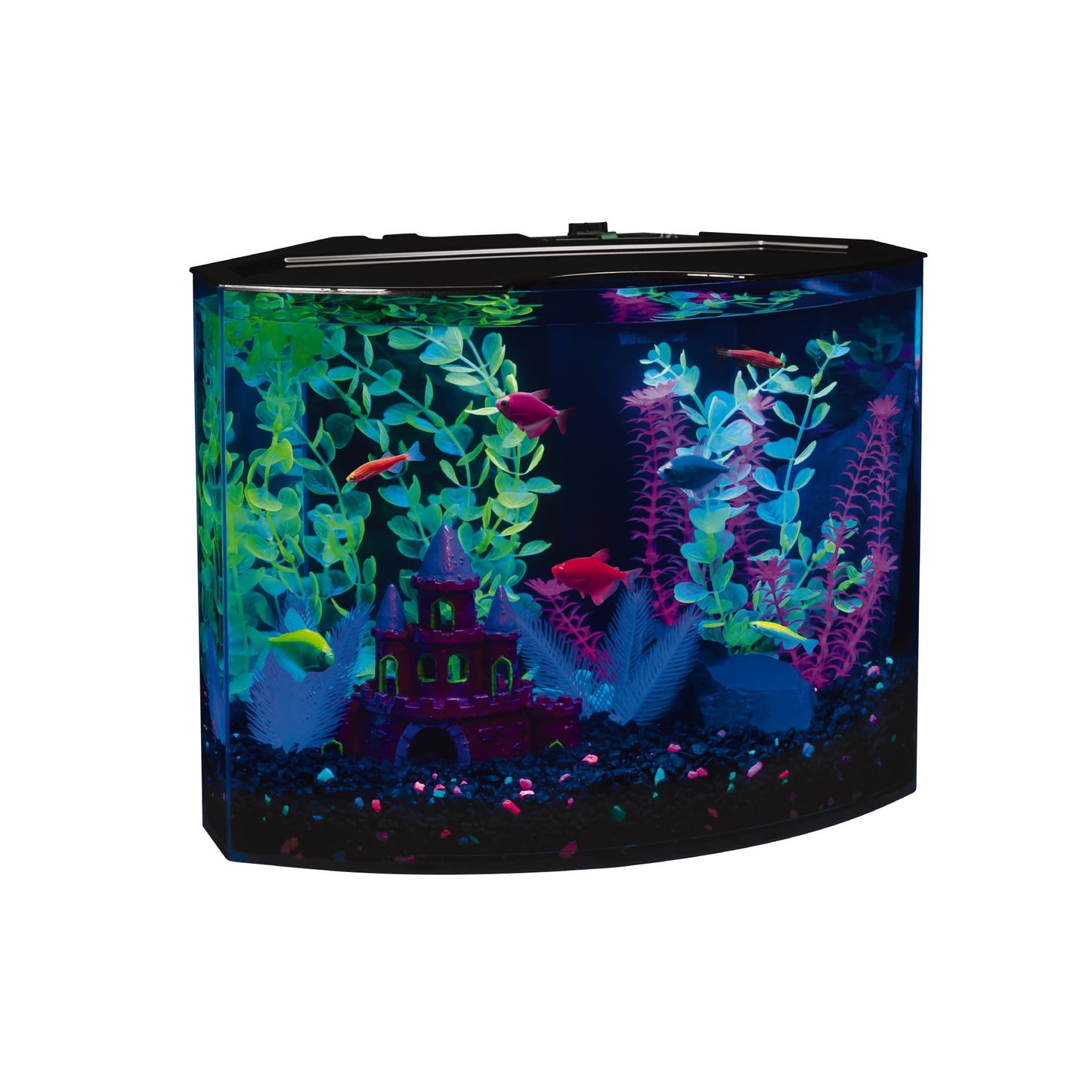 GloFish Crescent Aquarium Kit 5 Gallons Plastic Includes Hidden Blue LED Light and Internal Filter