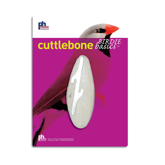 Small Cuttlebone