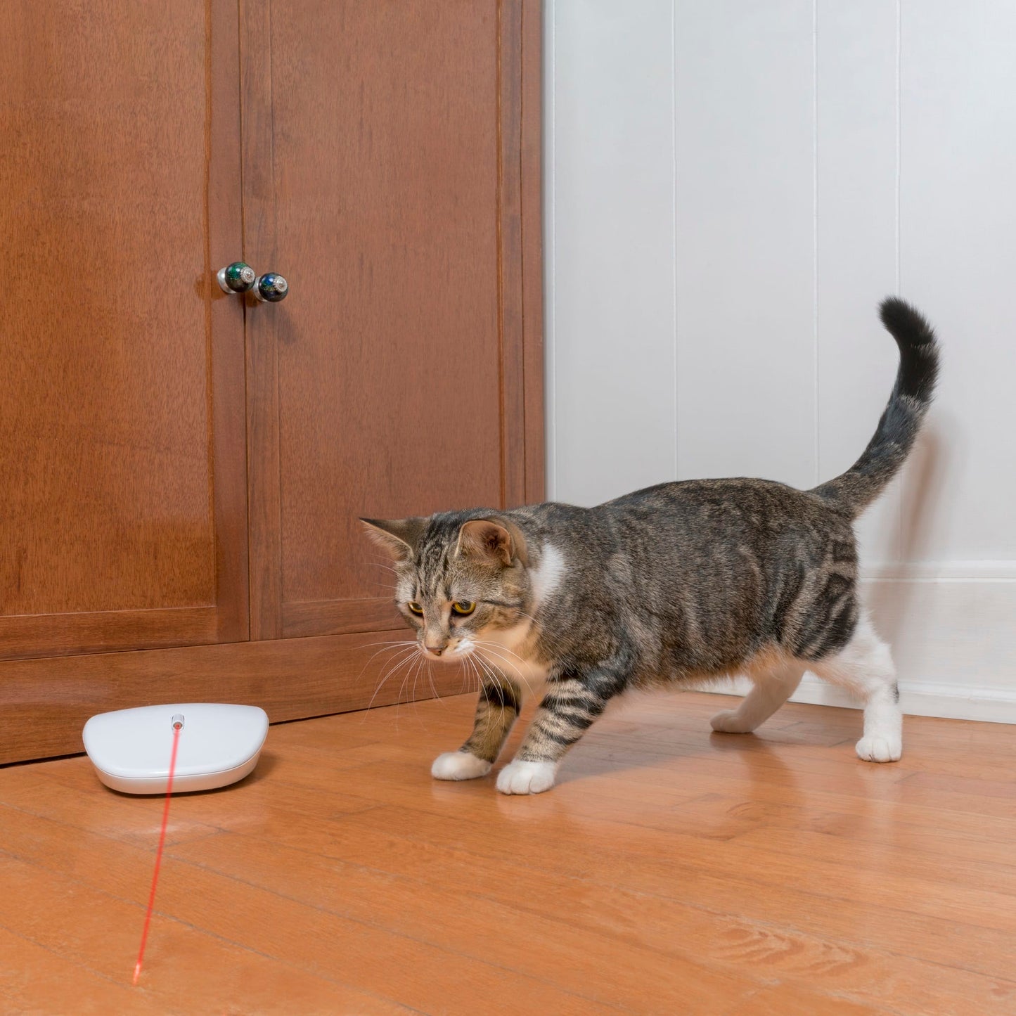 LASER CHASE AUTOMATED WITH RANDOM LASER