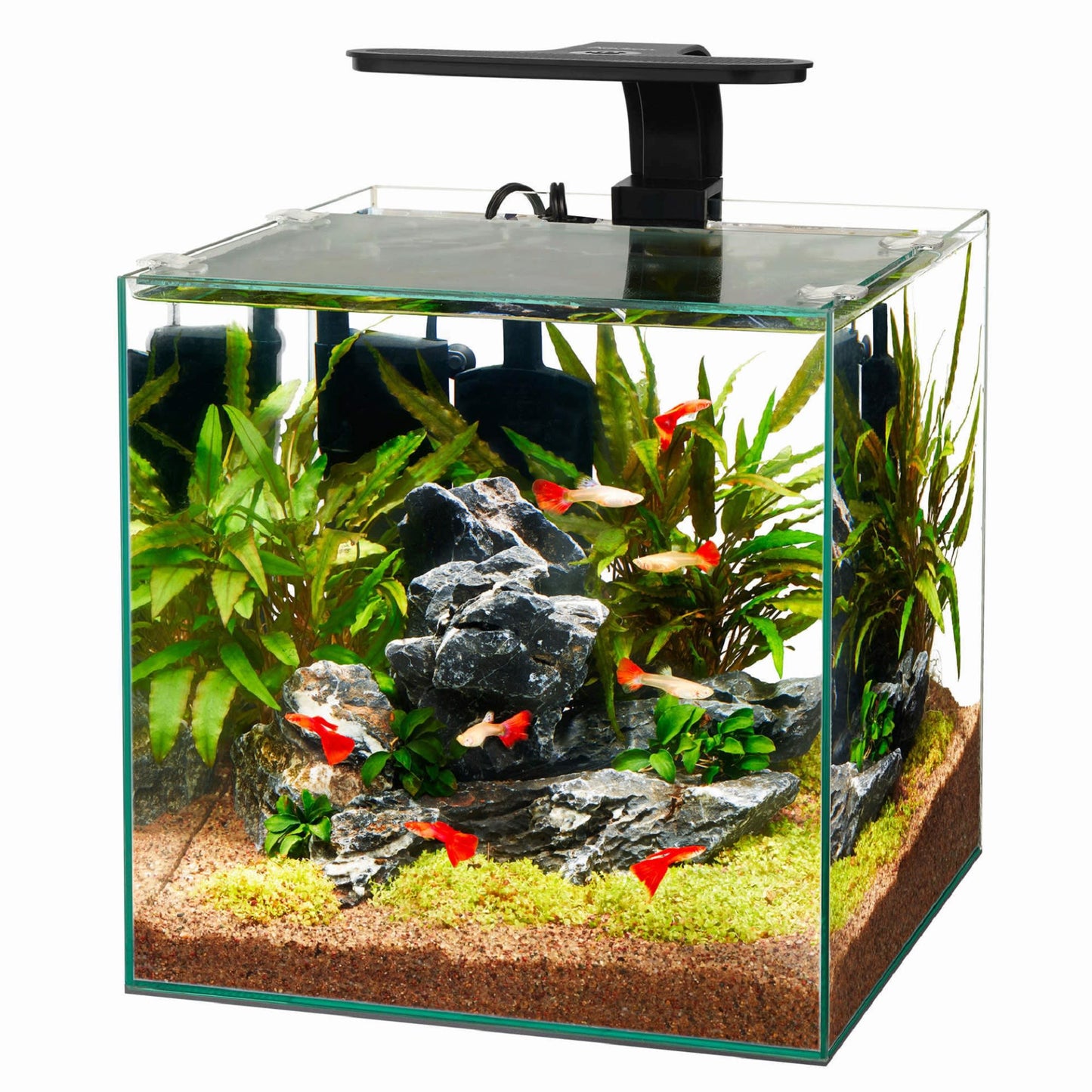 Aqueon Frameless Cube Aquarium, 6 Gallon