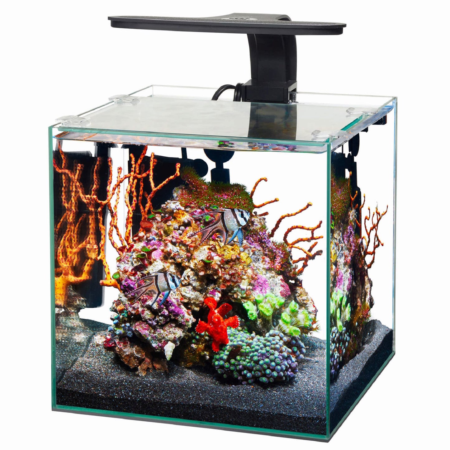 Aqueon Frameless Cube Aquarium, 3 Gallon