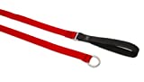 Lupine Slip Lead for Medium and Larger Dogs, 3/4-Inch Wide by 6-Feet Long, Red