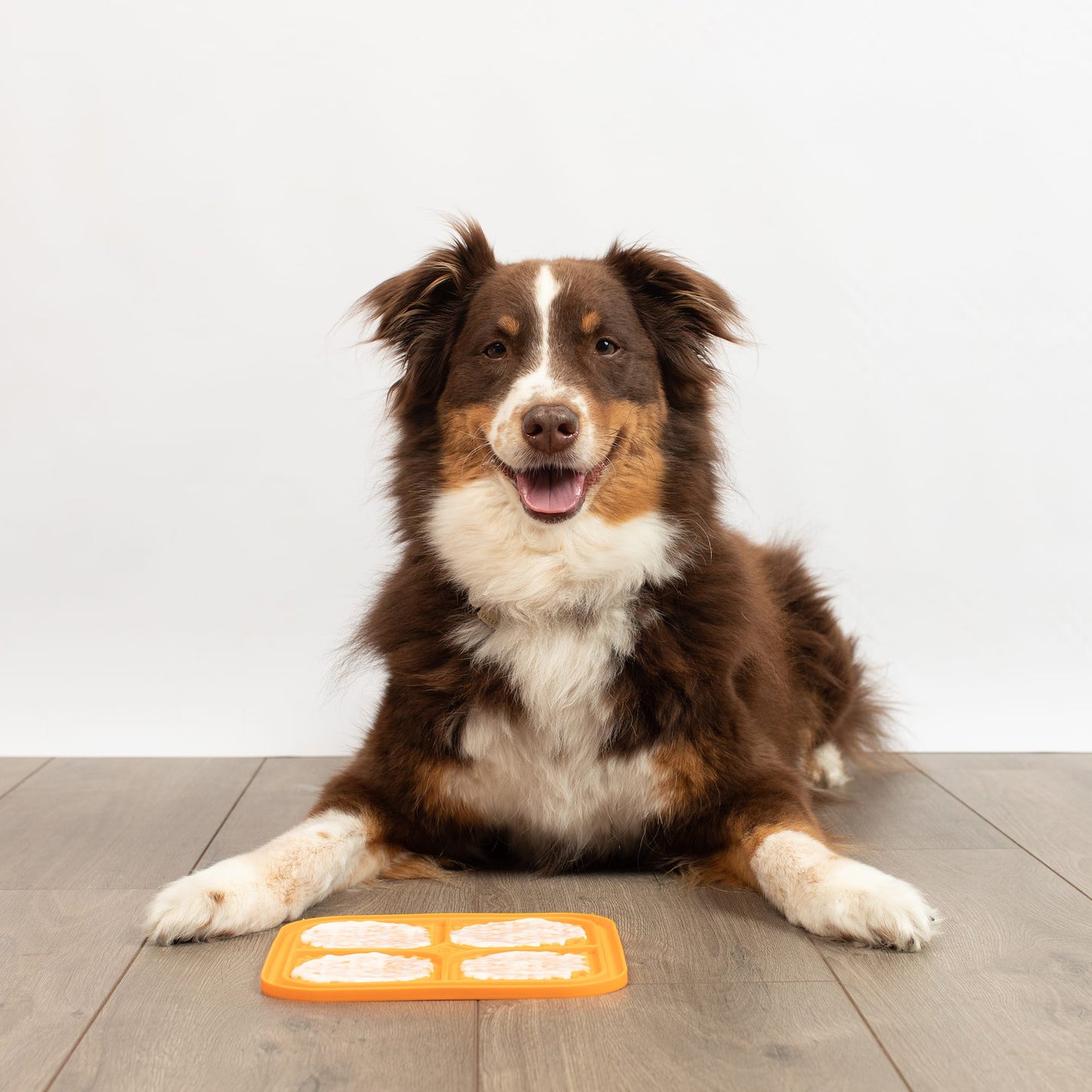 PetZone Hyper Pet Bordom Busterz eXtra Large Orange Lick Mat