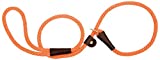 Mendota 1/2 Inch Nylon British Style Dog Slip Lead 6 feet Orange
