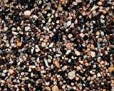 Estes Nutmeg Natural Gravel 5 Lbs