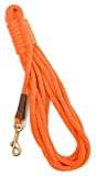 Trainer 50 Check Cord, 3/8 x 50'
