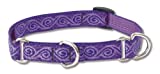 Lupine 3/4-Inch Jelly Roll 14-20-Inch Martingale Combo Collar for Medium to Large Dogs