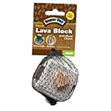 Kaytee Lava Block Small Animal Chew Toy   2.25