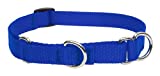 Lupine 3/4-Inch Blue 14-20-Inch Martingale Combo Collar for Medium to Large Dogs