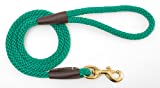 Kelly Green:The Mendota Snap leash