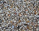 Estes Spectrastone Pebble Aquarium Gravel Ocean Beach Pebble