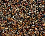 Estes' Swift Creek Natural Gravel 25 Lbs