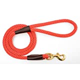 Red:The Mendota Snap leash