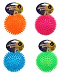 Petsport Gorilla Ball Dog Toy Large Multicolor