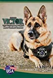 Victor Grain-Free Hero Dry Dog Food 30 lb