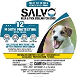 Salvo Flea & Tick Prevention Collar for Small Dogs, 12 Month Protection