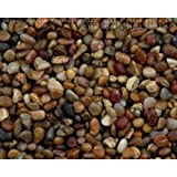 Estes' Natural Shallow Creek Pebble Gravel 5 Lbs