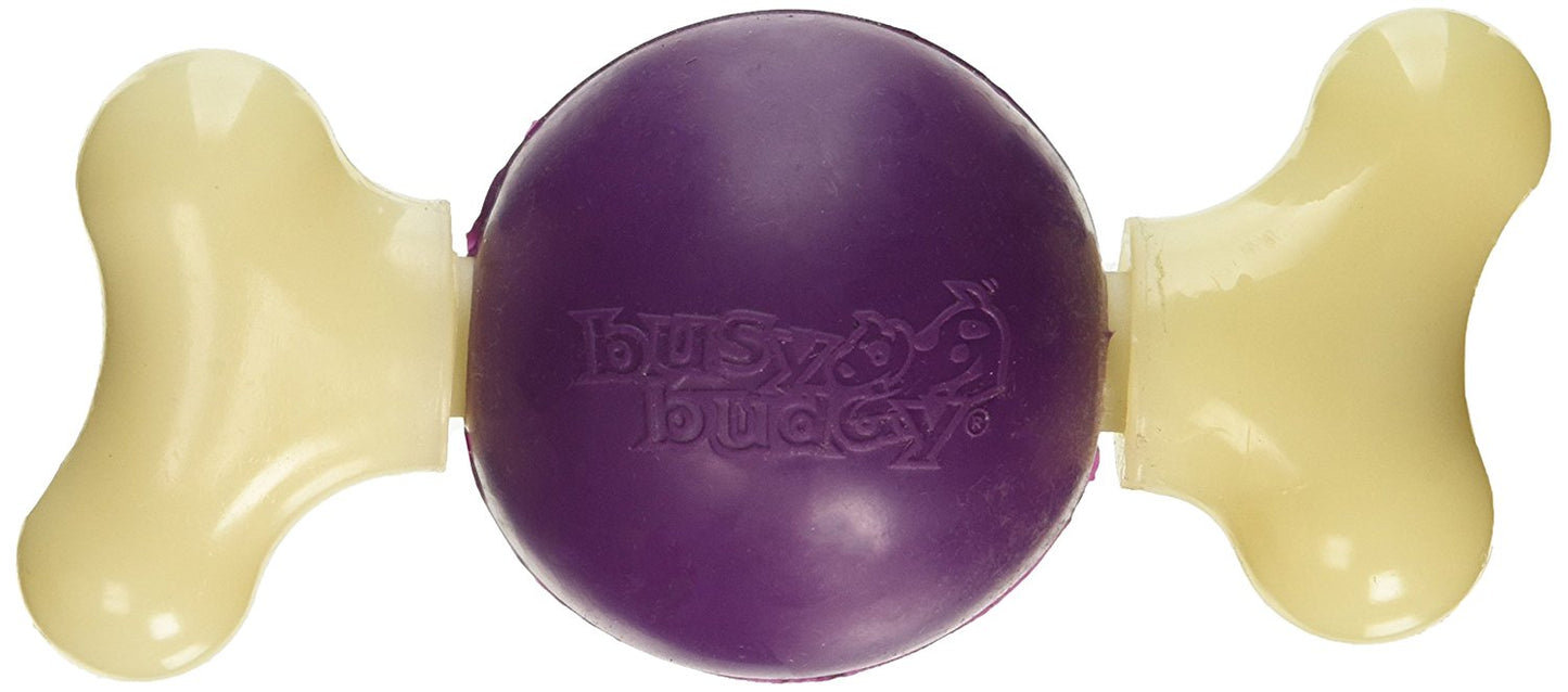 PetSafe Busy Buddy Bouncy Bone, Medium