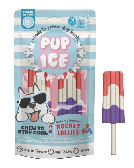 Spot Ethical Pet Dog Treat Pup Ice Rocket Lollies Blueberry & Strawberry Flavor 3oz